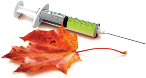 Кыргызстан сасык тумоого каршы 90 миң дозадан ашык вакцина сатып алды Кыргызстан сасык тумоого каршы 90 миң дозадан ашык вакцина сатып алды